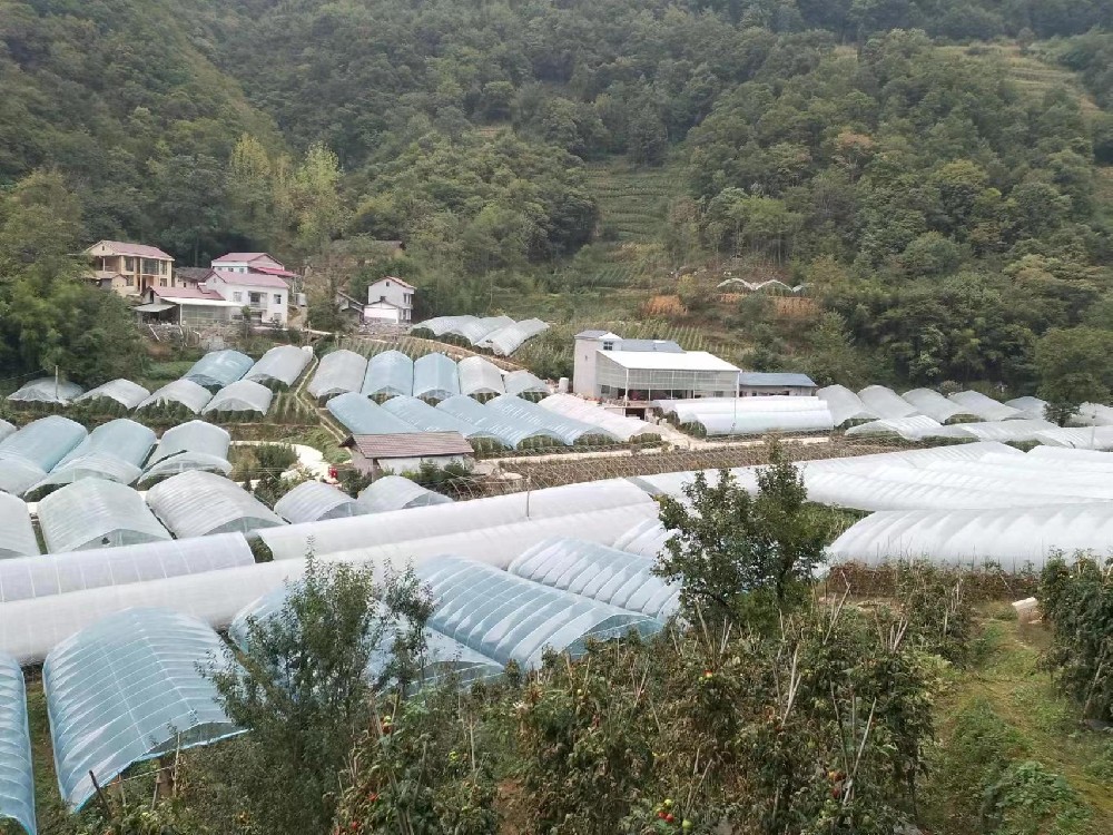 幫蔬菜保溫，讓農(nóng)戶暖心